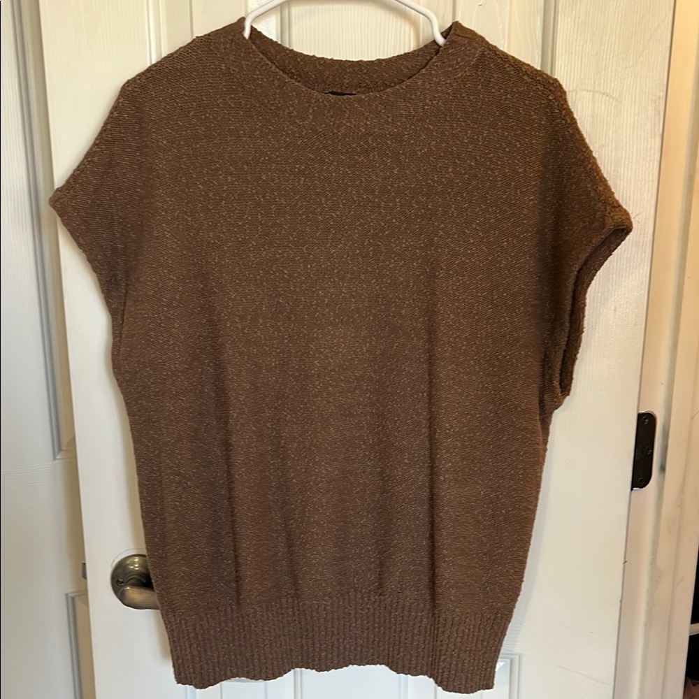 Ann Taylor Brown Knit Top